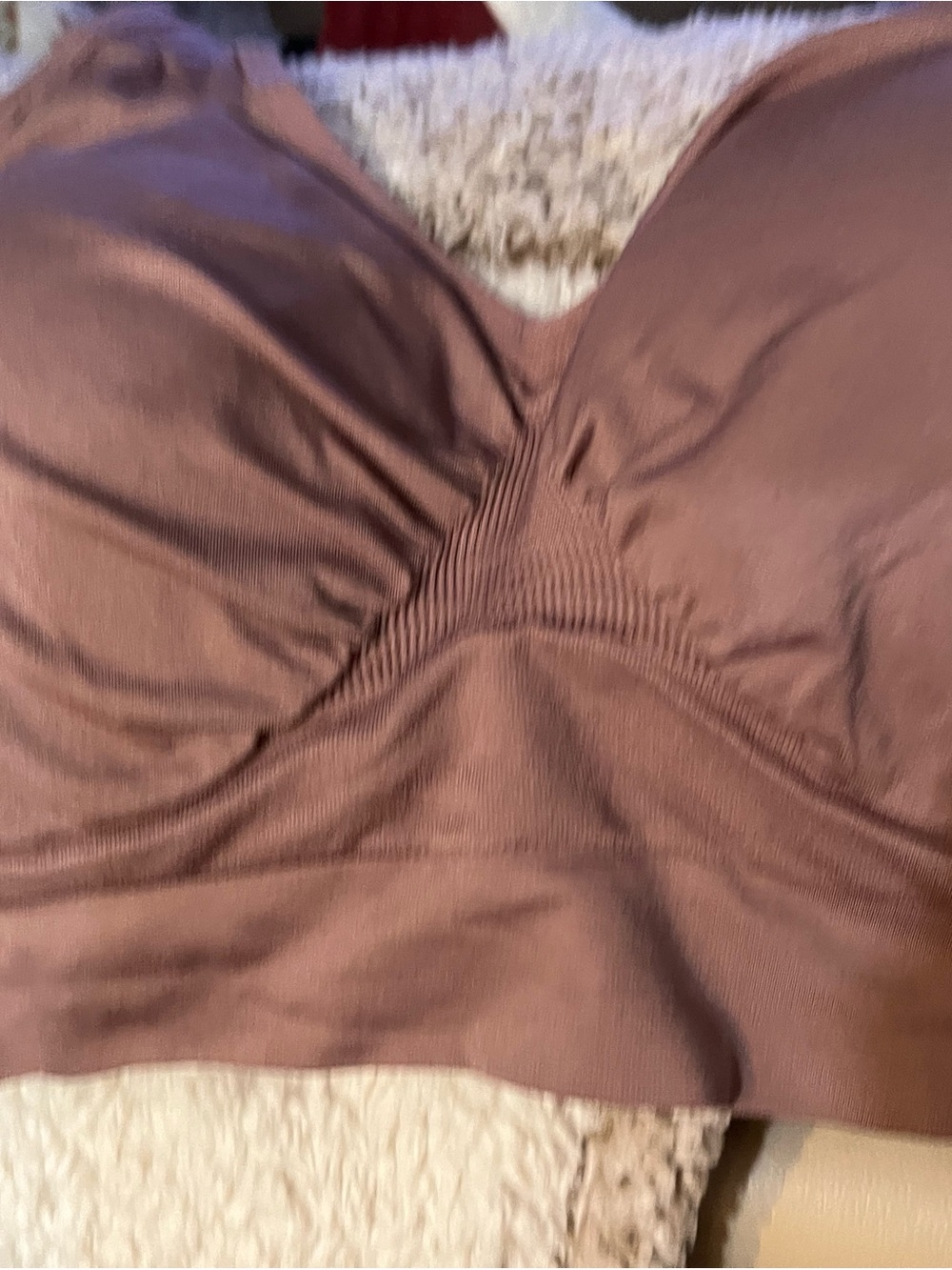 AnyBody Mauve Stretch Everyday Bra with Hook-and-Eye Closure